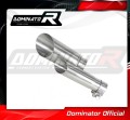 scarico silenziatore DOMINATOR GP3 adatto alla moto S 1000 R 2017 - 2020 2
