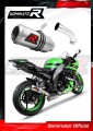 exhaust muffler DOMINATOR GP fits to Kawasaki ZX10R 2008  2010