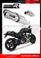 scarico silenziatore DOMINATOR GP adatto alla moto Yamaha MT 01 1700 2005 - 2012