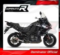 scarico silenziatore DOMINATOR GP adatto alla moto Kawasaki VERSYS 1000 2019 - 2024 4