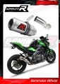 scarico silenziatore DOMINATOR GP adatto alla moto Kawasaki Z900 2017 - 2019