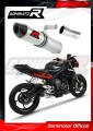exhaust muffler DOMINATOR HP2 fits to Triumph STREET TRIPLE 765 S R RS 2017  2019