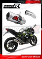 scarico silenziatore DOMINATOR GP adatto alla moto Kawasaki NINJA 125 Z125 2019 - 2023