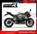 scarico silenziatore DOMINATOR GP adatto alla moto Kawasaki NINJA 125 Z125 2019 - 2023 4