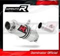 exhaust muffler DOMINATOR GP1 fits to KTM 250 Duke 2017  2020
