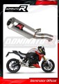 wydech tłumik DOMINATOR GP pasujący do motocykla BMW F900R 2020 - 2026