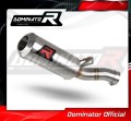 scarico silenziatore DOMINATOR GP adatto alla moto BMW F900R 2020 - 2026 2