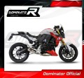exhaust muffler DOMINATOR GP fits to BMW F900R 2020  2026 4