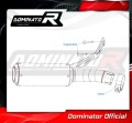 scarico silenziatore DOMINATOR GP adatto alla moto BMW F900R 2020 - 2026 5