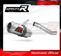 scarico silenziatore DOMINATOR GP adatto alla moto Ducati MONSTER 821 2018 - 2021 2