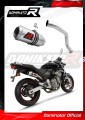 scarico silenziatore DOMINATOR GP adatto alla moto Honda CB 600F HORNET 1998 - 2002