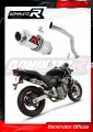 exhaust muffler DOMINATOR GP1 fits to Honda CB 600F HORNET 1998  2002