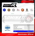scarico silenziatore DOMINATOR omologato GP adatto alla moto Kawasaki Z 900 2020 - 2024 5