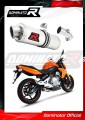 exhaust muffler DOMINATOR OV fits to Kawasaki ER  6 N / F 650 2006  2008