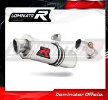 scarico silenziatore DOMINATOR ovale adatto alla moto Kawasaki ER - 6 N / F 650 2009 - 2011 2