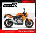 exhaust muffler DOMINATOR GP1 fits to Kawasaki ER  6 N / F 650 2009  2011 4
