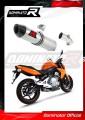 scarico silenziatore DOMINATOR HP2 adatto alla moto Kawasaki ER - 6 N / F 650 2009 - 2011