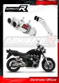 scarico silenziatore DOMINATOR GP1 adatto alla moto Suzuki GSX 1400 2001 - 2005