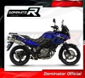 scarico silenziatore DOMINATOR HP1 adatto alla moto Suzuki DL 650 V-Strom 2004 - 2006 4