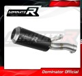 scarico silenziatore DOMINATOR GP nero adatto alla moto BMW F900R 2020 - 2026 2