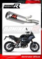 scarico silenziatore DOMINATOR GP adatto alla moto BMW F900XR 2020 - 2026