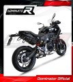 scarico silenziatore DOMINATOR GP adatto alla moto BMW F900XR 2020 - 2026 3