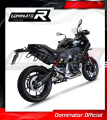complete exhaust system with muffler DOMINATOR Full System GP fits to BMW F900XR 2020  2026 3
