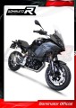 collettore di scarico DOMINATOR  adatto alla moto BMW F900XR 2020 - 2026 3
