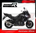 scarico silenziatore DOMINATOR rotondo adatto alla moto Kawasaki VERSYS 1000 2019 - 2024 3
