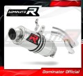 exhaust muffler DOMINATOR GP1 fits to BMW S1000RR 2017  2018 2