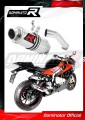 scarico silenziatore DOMINATOR GP1 adatto alla moto BMW S1000RR 2015 - 2016