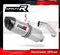 scarico silenziatore DOMINATOR HP1 adatto alla moto BMW S1000RR 2015 - 2016 2