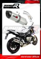 exhaust muffler DOMINATOR HP1 fits to BMW S1000R 2017  2020