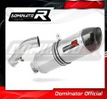 scarico silenziatore DOMINATOR HP1 adatto alla moto BMW R1200R 2006 - 2009