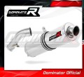 scarico silenziatore DOMINATOR rotondo adatto alla moto BMW R1200R 2006 - 2009