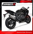 impianto di scarico completo con silenziatore DOMINATOR Full System Race HP6 titanio adatto alla moto YZF R1 1000 RN65 2020 - 2022 4