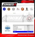 S1000XR Exhaust BMW Homologated EC Type approval  Street legal Approval Certificate Muffler Auspuff Sportauspuff Silencer Echappement Silencieux Scarico Scarichi Escape Wydech Tłumik OVAL 2015 - 2019 Dominator 4