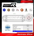 scarico silenziatore DOMINATOR HP1 adatto alla moto Triumph TT 600  2