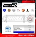 CBF 250 EXHAUST Honda Muffler Auspuff Sportauspuff Silencer Echappement Silencieux Scarico Scarichi Escape Wydech Tłumik OVAL 2004 - 2006 Dominator 1