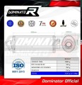 scarico silenziatore DOMINATOR ovale adatto alla moto Suzuki SV 650 N 1999 - 2002 2