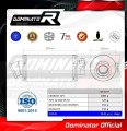 exhaust muffler DOMINATOR GP1 fits to Suzuki SV 650 S 1999  2002 4