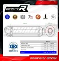scarico silenziatore DOMINATOR HP1 adatto alla moto Aprilia Pegaso 650 1997 - 2000 4