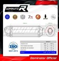 Pegaso 650 Trail Exhaust Aprilia Muffler Auspuff Sportauspuff Silencer Echappement Silencieux Scarico Scarichi Escape Carbon Tip HP1 2006 - 2010 Dominator 1