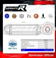 wydech tłumik DOMINATOR HP1 pasujący do motocykla BMW F800R 2009 - 2019 2