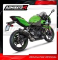 impianto di scarico completo con silenziatore DOMINATOR Full System HP8 nero adatto alla moto Kawasaki NINJA 400 2018 - 2022 3