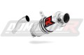 scarico silenziatore DOMINATOR GP1 adatto alla moto Aprilia RS 125 1999 - 2005 3