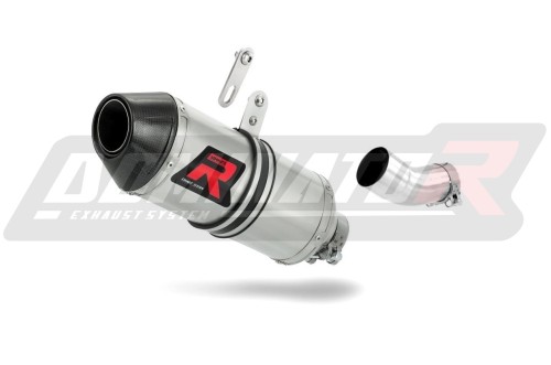 Tuono V4 1100 RR LOW LEVEL Exhaust Aprilia Muffler Auspuff Sportauspuff Silencer Echappement Silencieux Scarico Scarichi Escape Carbon Tip HP3 Dominator  x