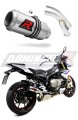 scarico silenziatore DOMINATOR GP adatto alla moto BMW S1000R 2017 - 2020 4