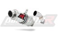 scarico silenziatore DOMINATOR GP1 adatto alla moto Yamaha YBR 250  4