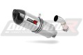 scarico silenziatore DOMINATOR HP1 adatto alla moto Yamaha YBR 250  4